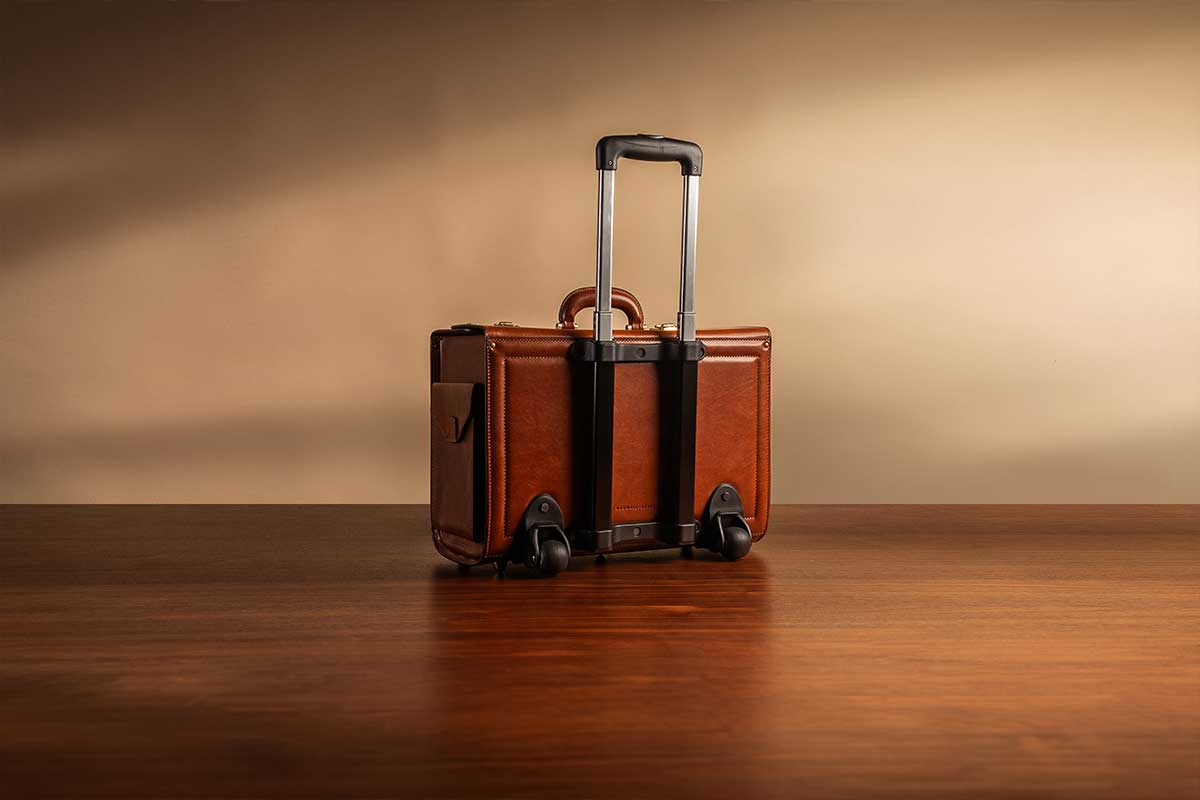 luxury case with extendable handle and wheels