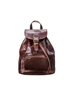 Chocolate Brown leather handbag rucksack